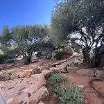 Tanca Taroni *