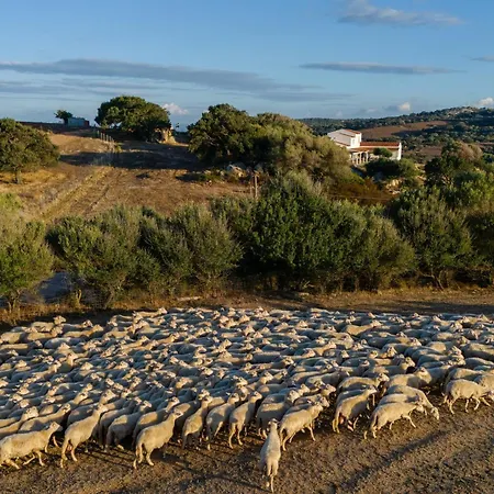 Vakantieboerderij Tanca Taroni Telti