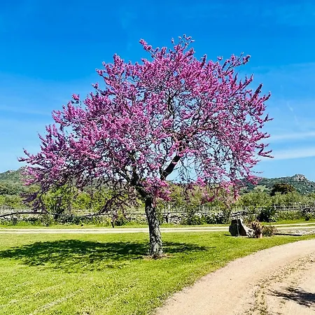 Alojamento de Turismo Rural Tanca Taroni Telti