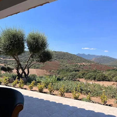 Tanca Taroni *