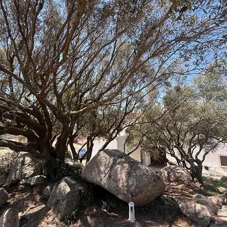 Tanca Taroni Agroturismo *