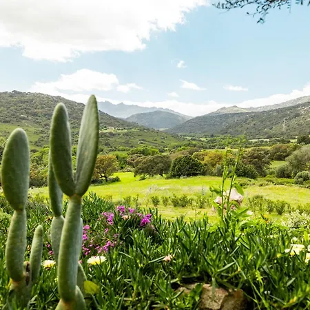 Farmház Tanca Taroni