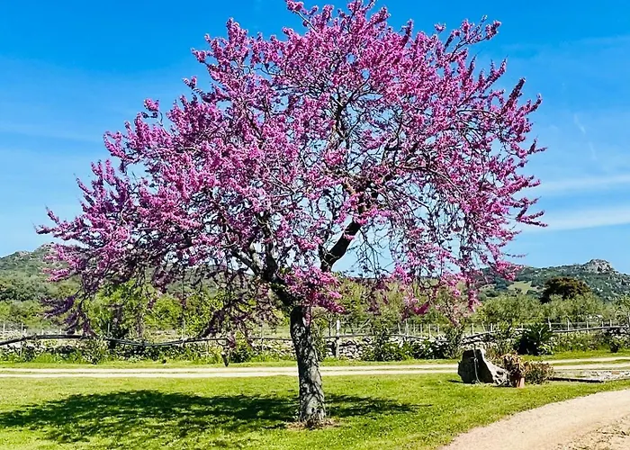 Agroturismo Tanca Taroni Telti